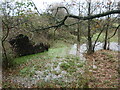 Waterlogged land and fallen tree near Holly Farm in SK6 8AE