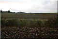 Field by Holly Grove Road, Bramfield in SG14 2QY