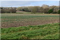 Fields west of Flood Street Farm in SP6 2BT