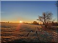 Frosty field with sunrise near Bolton in CA16 6BQ