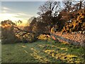 Storm Arwen casualty on Lucklaw Hill in KY16 0BH