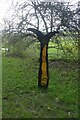 Sustrans milepost by Camel Trail in PL27 6HY