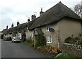 Moreton, Dorset - Row of thatched cottages in DT2 8RN