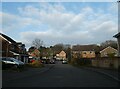 Looking north-northeast in Maple Leaf Drive in GU35 9FH