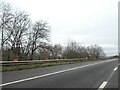 Hedge and bridge over footpath by M5 in BS21 7AG