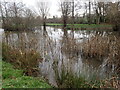 Pond at Bodiam Business Park in TN32 5FL