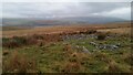 Moorland South Of Gareg Lwyd in Quarter Bach Community