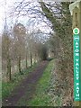 The Avon Valley Path at Rockford in BH24 3NT