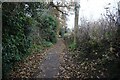 Path leading to Hartle Lane, Belbroughton in DY9 0DP