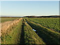 Farm track near Tranent in EH32 9SJ