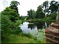 View across the lake at Henbury Hall in Henbury