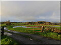 Track gate and flooded field, near Bishton, Newport in Bishton Community