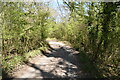 Bridleway in Hangdog Wood in RH9 8JQ
