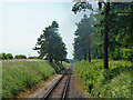 Mid Hants Railway towards Ropley in SO24 9SF