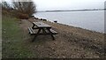 Picnic bench by Grafham Water in Grafham