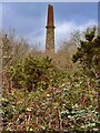 A better view of the Mine Chimney in PL26 7LU