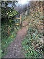 Footpath Stile in PL26 7EQ