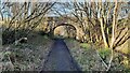 Bridge on the South Tyne Trail just north of Slaggyford in CA8 7NJ