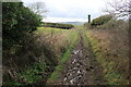 Muddy Bridle Path on North Hill Burton Bradstock in DT6 4NH