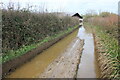 Flooded Track Milvers Lane in DT6 4BX
