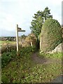 Signpost for footpaths, Willington Corner in Boothsdale