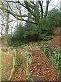 Footpath, Little Switzerland, Willington Corner in Boothsdale