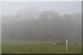 Joeland's Wood in mist in TN16 2JB