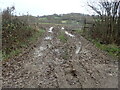 Muddy entrance to a field in TN18 5DL