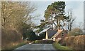 Road approaching Firs Lodge in TS9 6JD