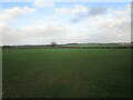 Grass field between Palterton and Scarcliffe in S44 6SX
