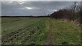 Bridleway nearing Hanney Road in Steventon