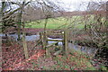 Sticil uwchben nant / A stile above a stream in SA19 7DW