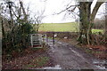 Llwybr y Parc / Parc footpath in SA19 7DW