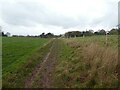 Muddy footpath on Castle Hill, Willington Corner in Boothsdale