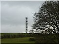Communications mast on Birch Hill, Willington Corner in Boothsdale