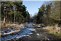 Road through woodland west of Esh Winning in DH7 9BX