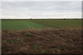 Arable land by the Old Bedford River in PE38 0BT