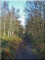 Old railway track bed near Muscle Hill in S71 3RR