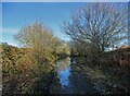 Puddle on old railway track at Muscle Hill in S71 3RR