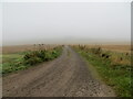 Track between cultivated fields that gives access to the Hill of Nigg in IV19 1QW