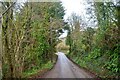 Combeinteignhead : Country Lane in TQ12 4RE