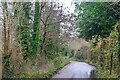 Combeinteignhead : Country Lane in TQ12 4QH