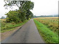 Minor road near to Pitcalzean in IV19 1QF
