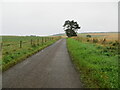 Minor road heading towards Shandwick in IV20 1XQ