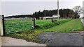 Gateway to field with stables on SW side of Peter Lane in Cummersdale