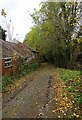 Lane into Wyre Forest from Buttonoak in DY12 3AG