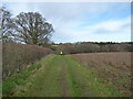 Footpath and bridleway near the Dudmaston estate in Quatt Malvern