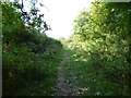 Path away from the Hill fort in HR6 9TS