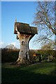 Tree of Imagination, Barrows Brow, Lower Peover in WA16 9PU