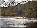 Weir on the River Goyt in SK6 2DE
